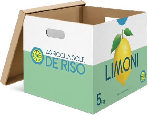 5 kg box of Agricola Sole De Riso lemons