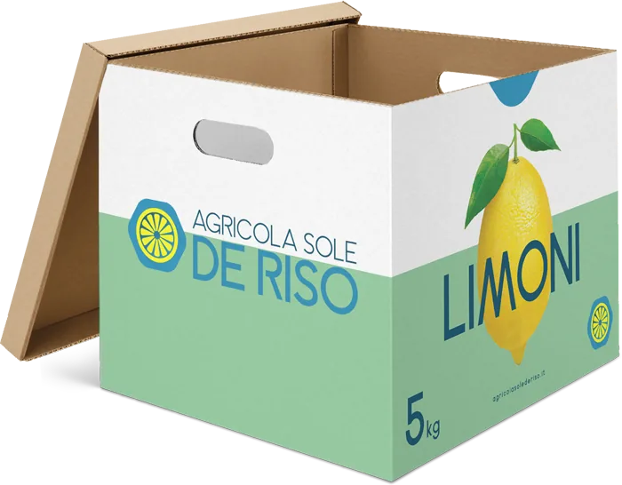 5 kg box of Agricola Sole De Riso lemons