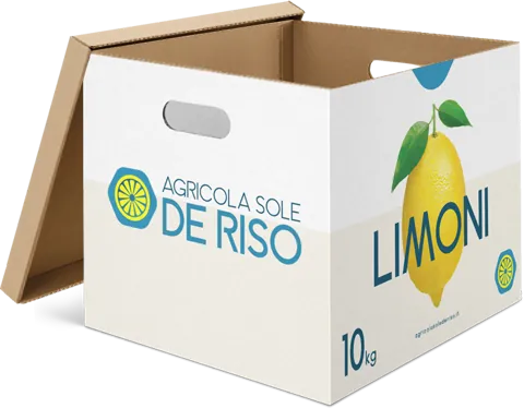 10 kg box of Agricola Sole De Riso lemons