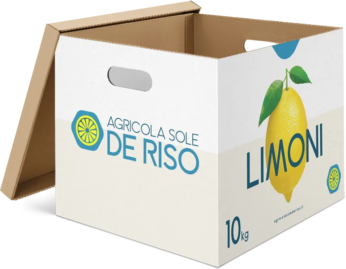 10 kg box of Agricola Sole De Riso lemons