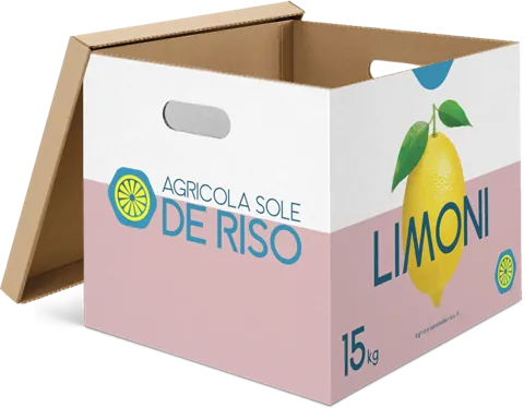 15 kg box of Agricola Sole De Riso lemons