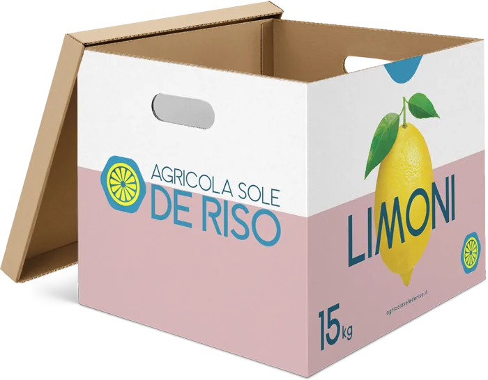 15 kg box of Agricola Sole De Riso lemons